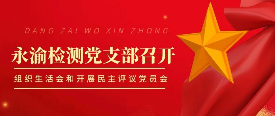 永渝检测党支部召开组织生活会和开展民主评议党员会